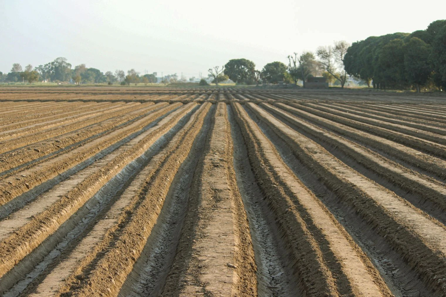 Walera, Rajasthan 343022, India