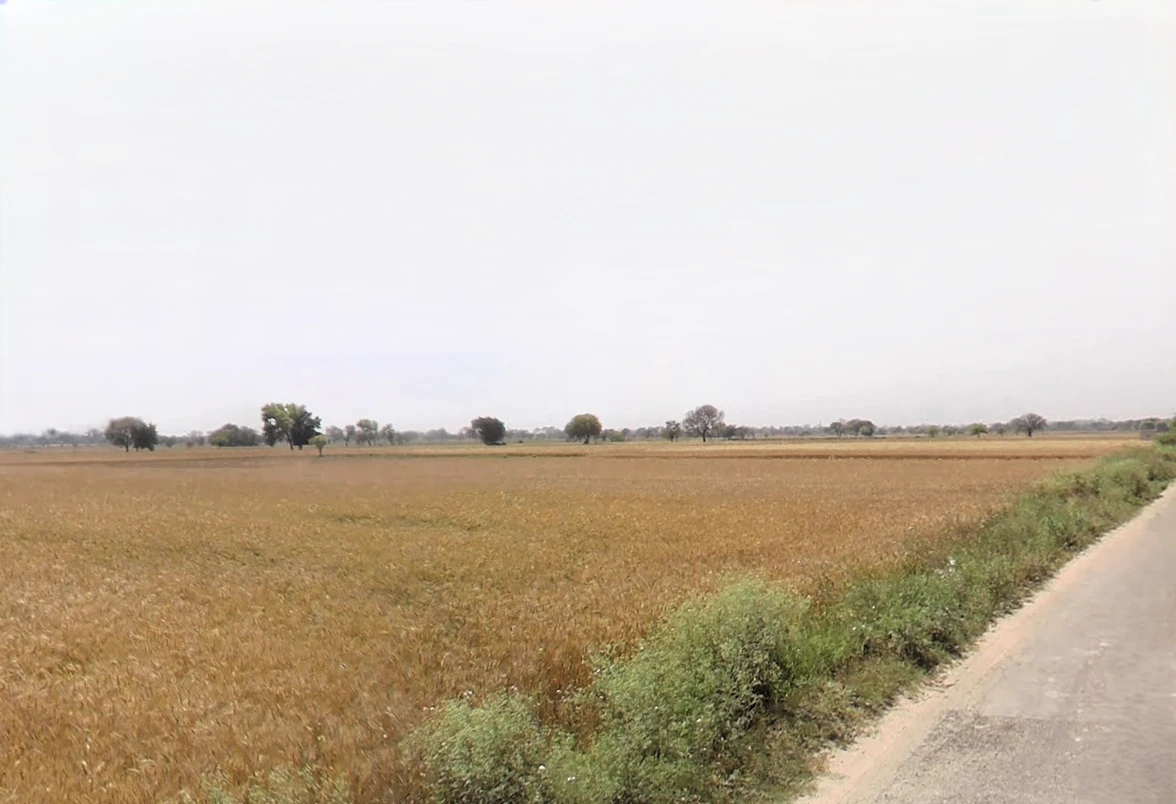Majri, Haryana 124105, India
