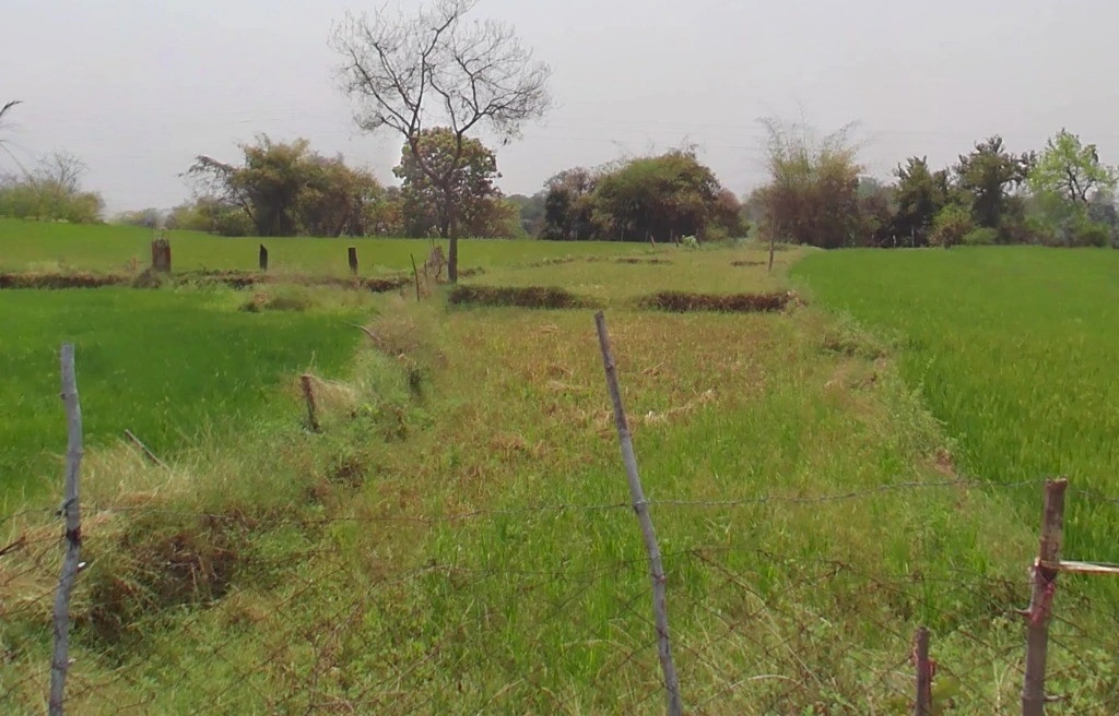 Deori, Chhattisgarh 493114, India