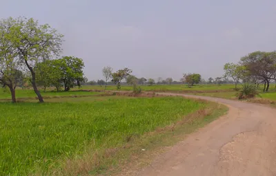 Devgaon, Chhattisgarh 495691, India preview 2