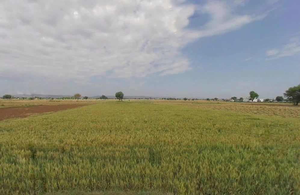 Beejwa, Rajasthan, India