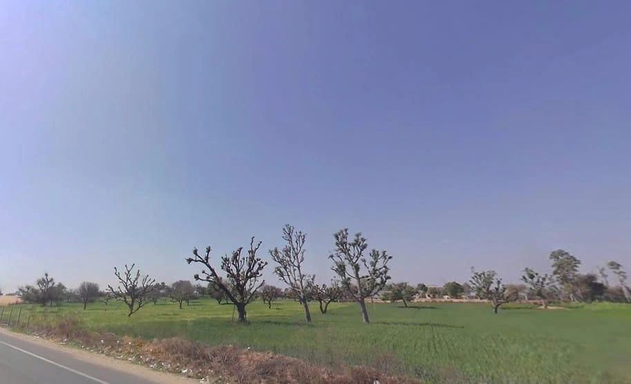 Khachariawas, Rajasthan 332710, India