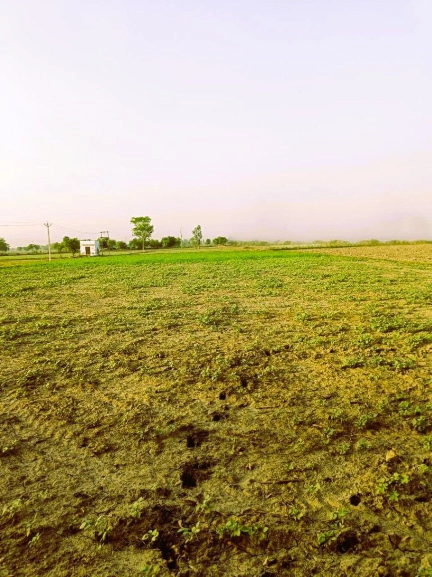 XGJ2+P2C, Bassi Naaga, Rajasthan 303124, India