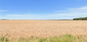 Bagalia, West Bengal 723126, India preview 2