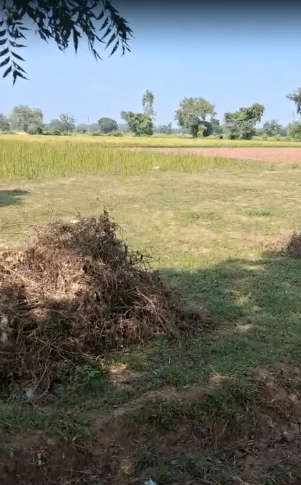 HQXH+53 Demol, Anand, Gujarat, India