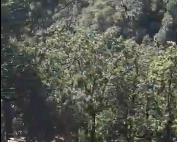 9H5X+H2R, Bhowali Range, Uttarakhand, India