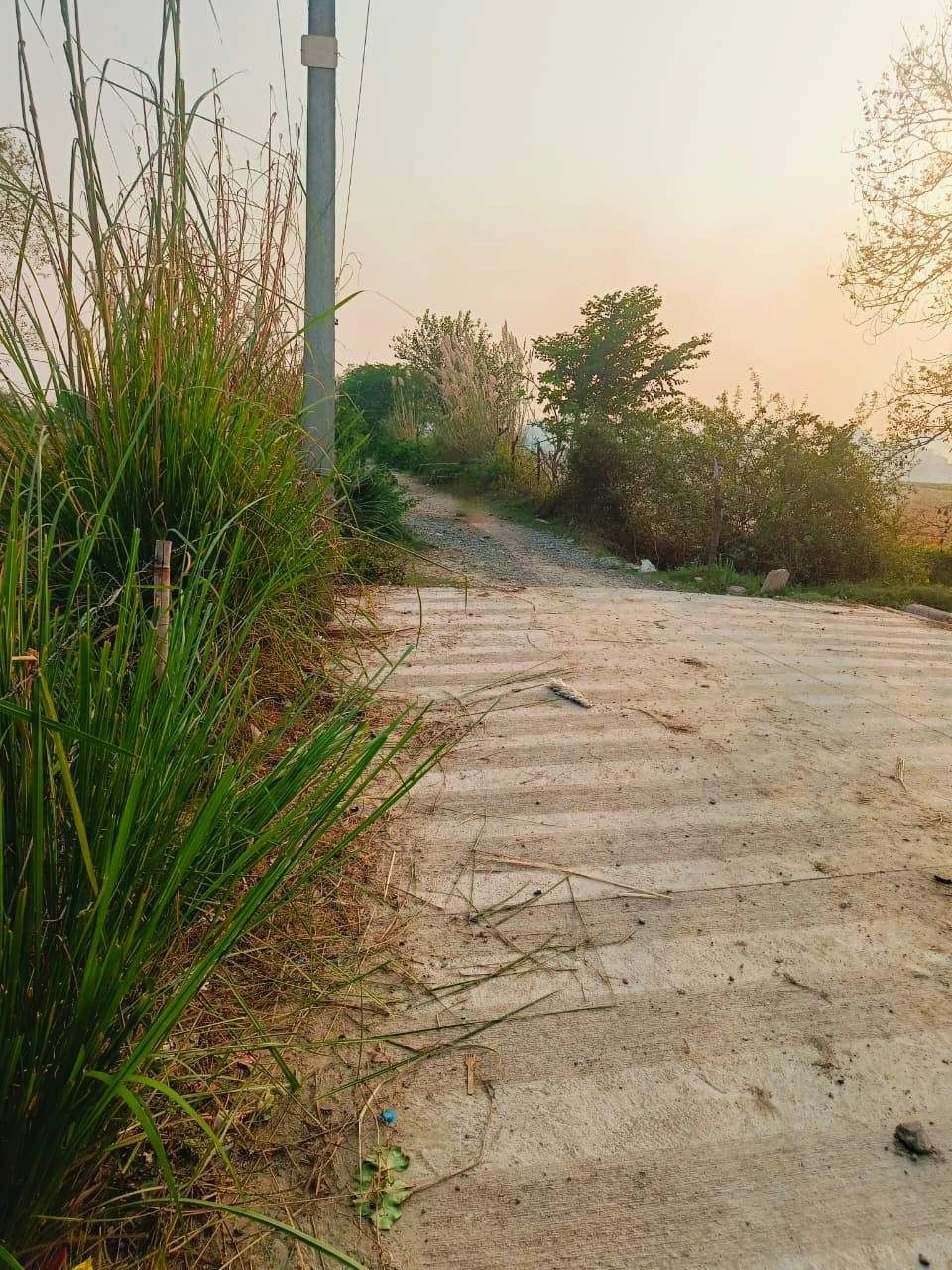 Borpa, Mathura, Uttar Pradesh, India