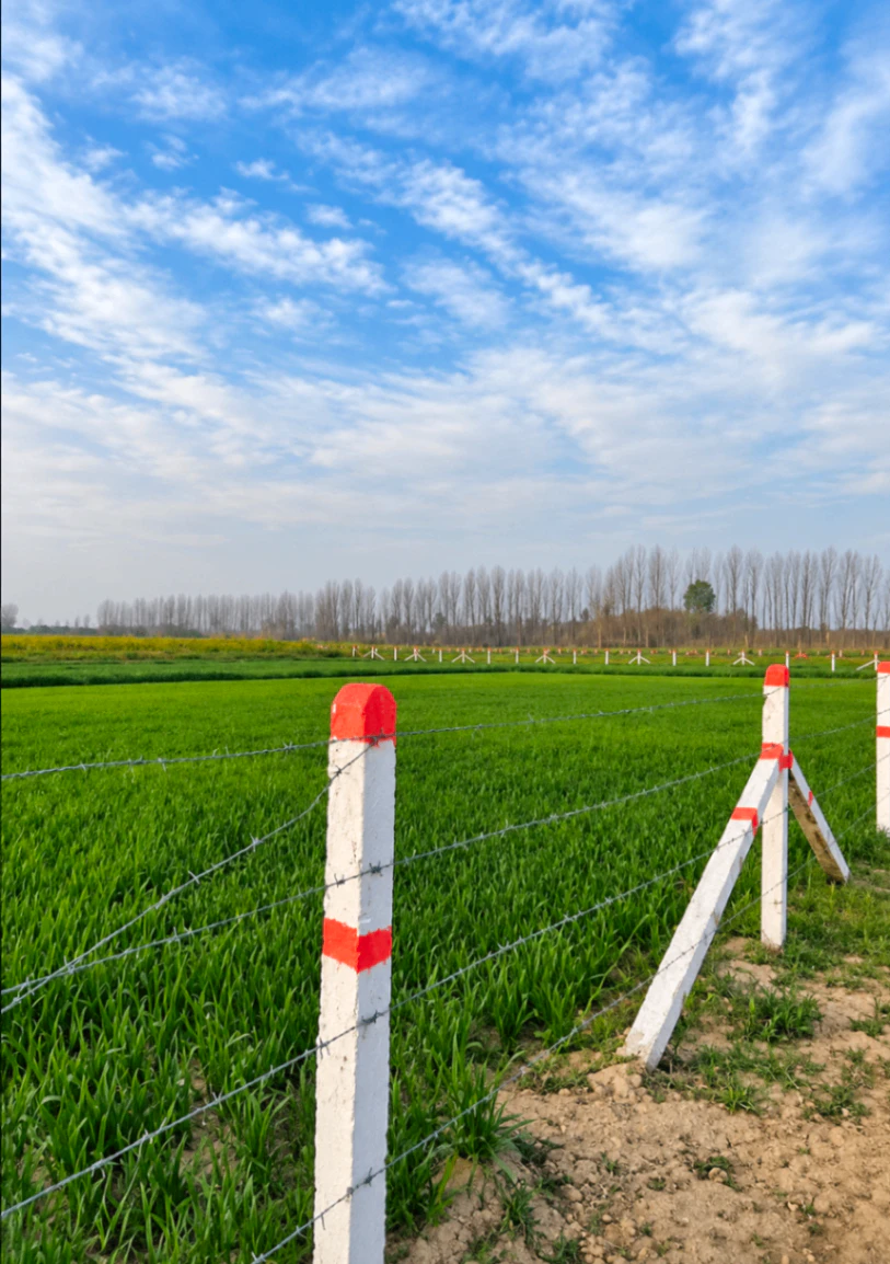 Kanjaura, Unnao, Uttar Pradesh 209871, India