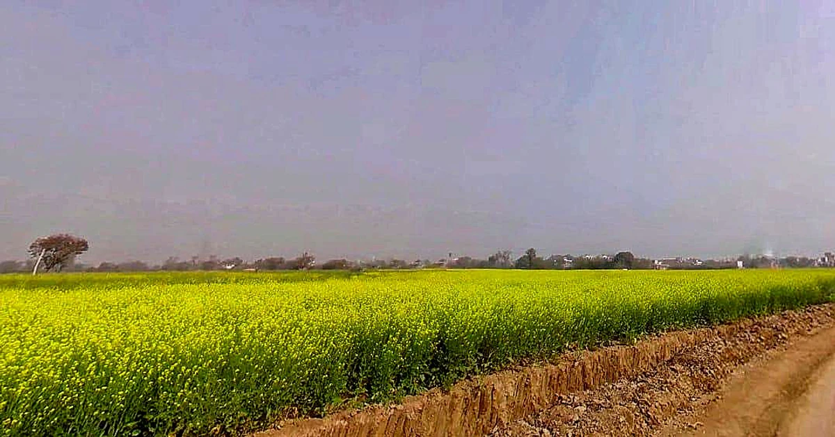 Hadarhera, Rajasthan 301021, India