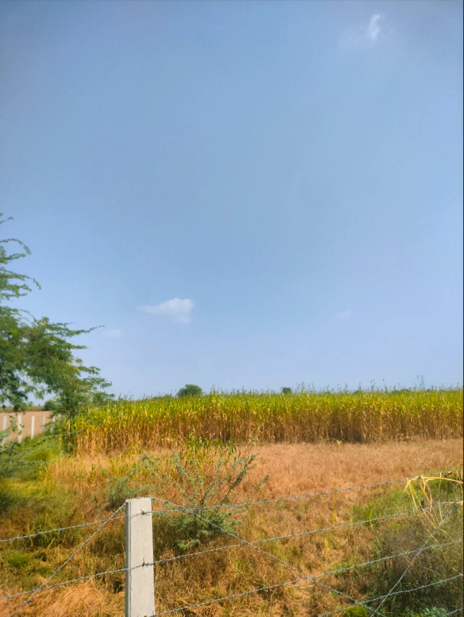 GJ5X+GW Chandama Kalan, Jaipur, Rajasthan, India