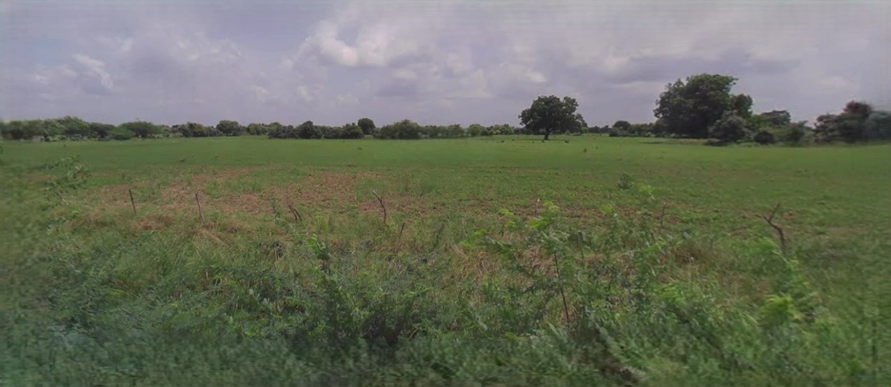 Agar Malwa, Madhya Pradesh, India