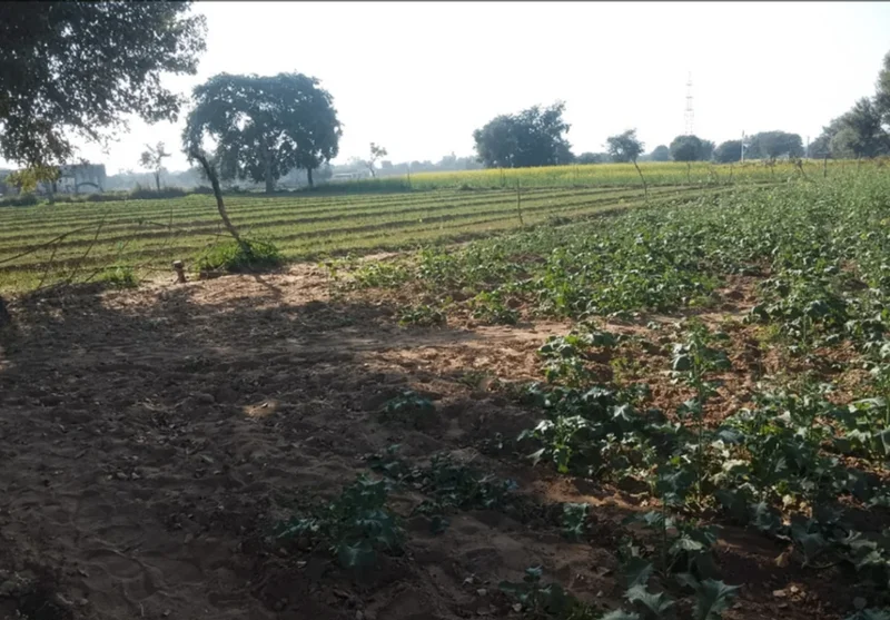 FRX9+WP Jugrawar, Rajasthan, India preview 2