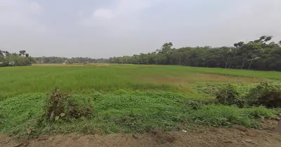 MV78+5JH Town hall, Itinda Rd, Basirhat, West Bengal 743411, India preview 2