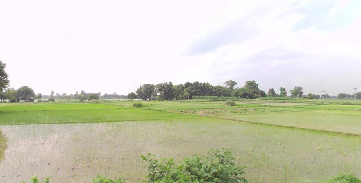 Manipur, Madhya Pradesh 486447, India