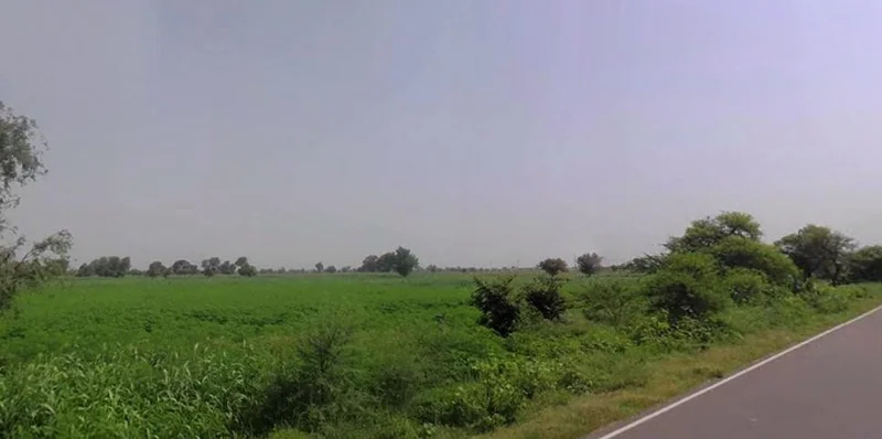 Kathoomar, Rajasthan 321605, India preview 2