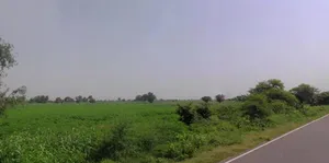 Kathoomar, Rajasthan 321605, India preview 2