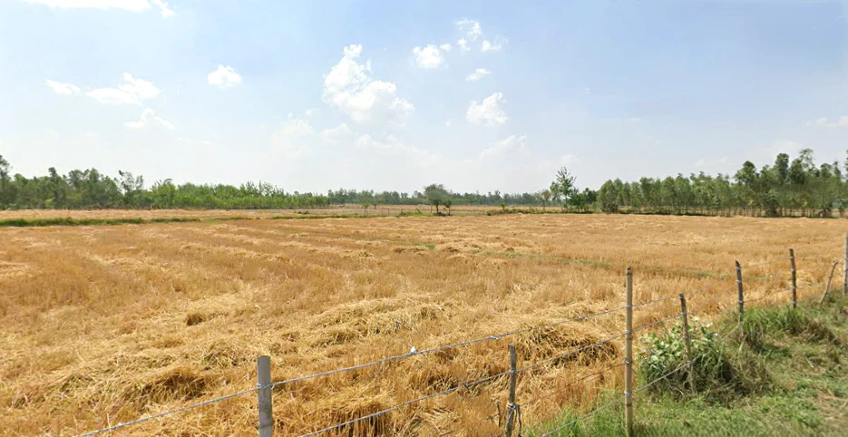 Chitri, Uttar Pradesh 243635, India