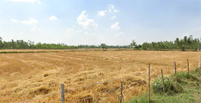 Chitri, Uttar Pradesh 243635, India preview 2