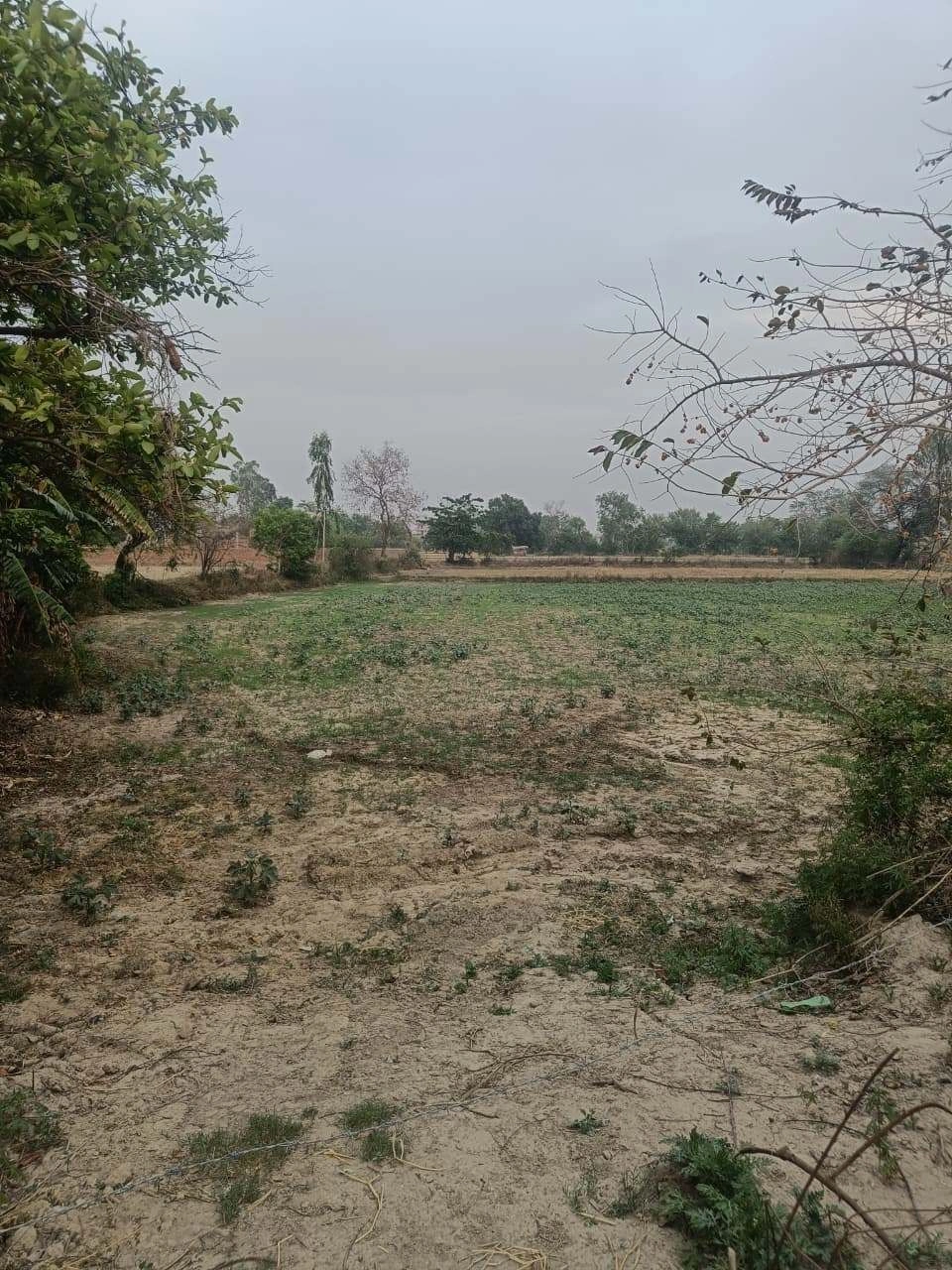 JC9Q+8Q9, Chainpura at Bharatpura, Rajasthan, India
