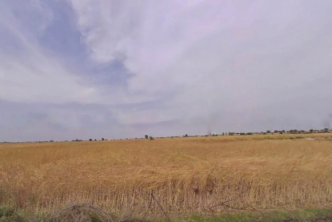 FWQ5+9MC, Gopalpura, Rajasthan 303006, India