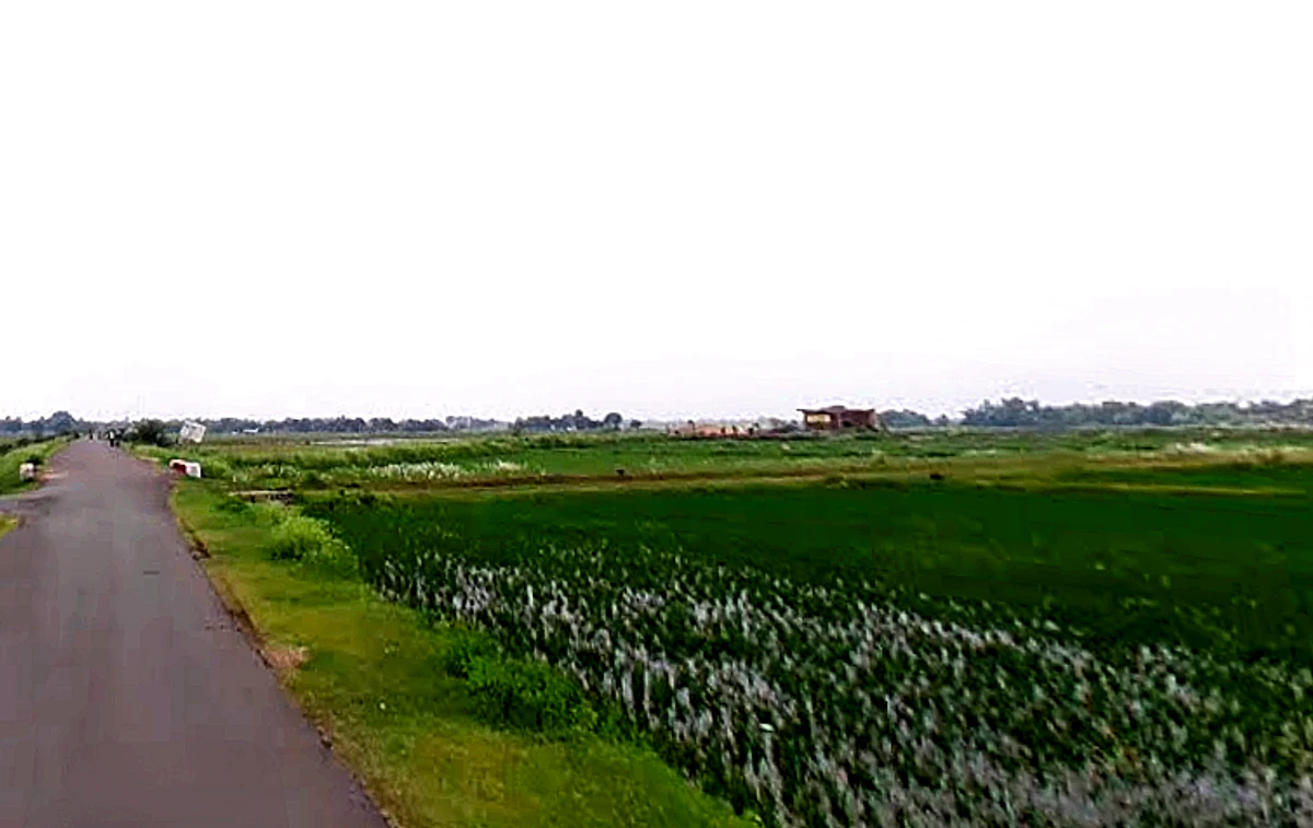 Madaraha, Uttar Pradesh 212308, India