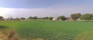 Moodiya, Rajasthan 321028, India preview 2