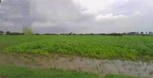 Haridwar, Uttarakhand, India preview 2