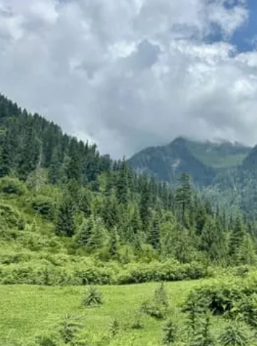 NH 707, Sirmaur, Shillai, Himachal Pradesh 173027, India preview 3