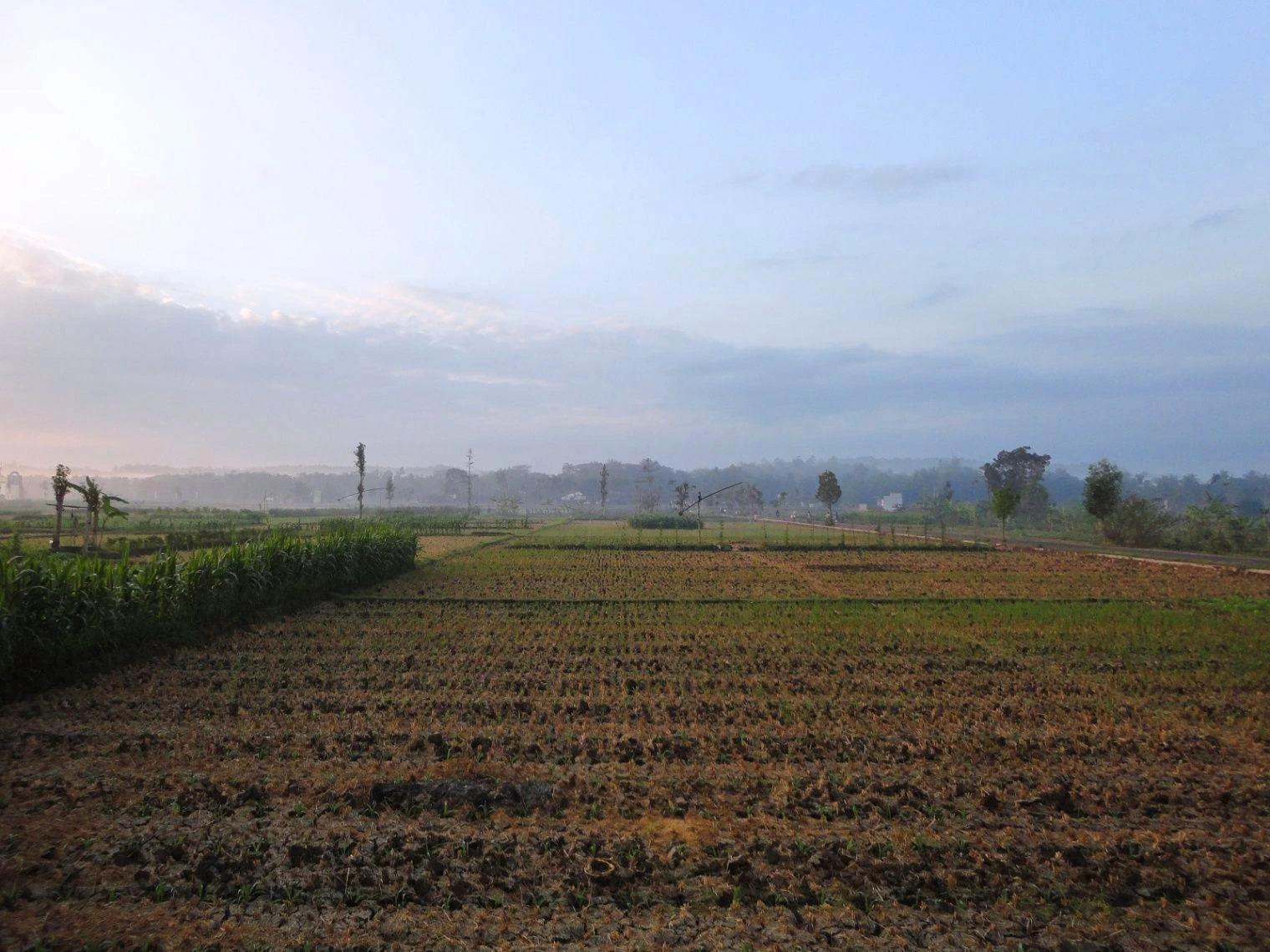 Badagaon, Gwalior, Madhya Pradesh 474006, India