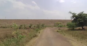 4V7R+JP3, Takli, Madhya Pradesh 450001, India preview 2