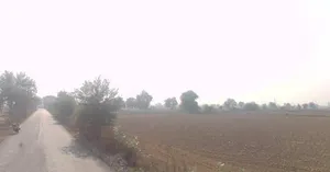 Kalanaur, Haryana 124113, India preview 3
