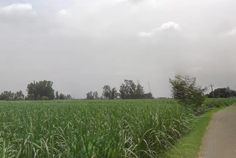 Nijampur, Uttar Pradesh, India