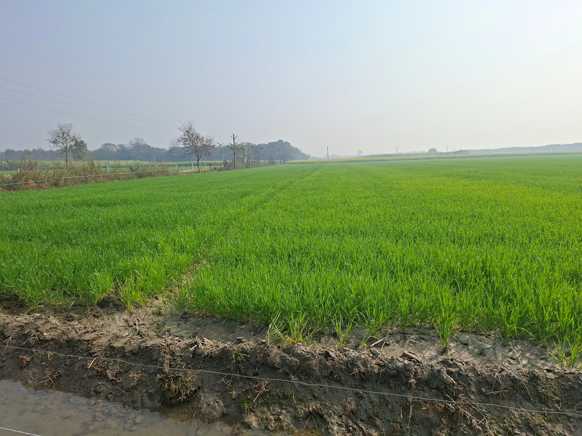 Bhagwanpur Khadar, Mawana, Meerut, Uttar Pradesh, India