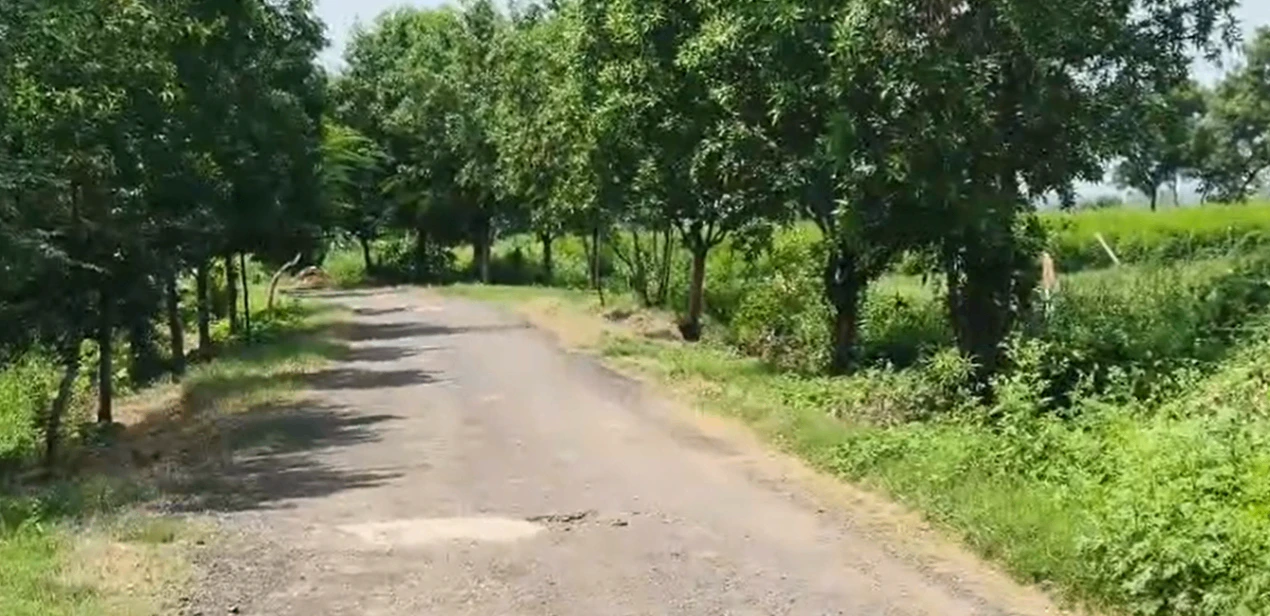 8RVQ+FF Somaram, Vikarabad, Telangana, India