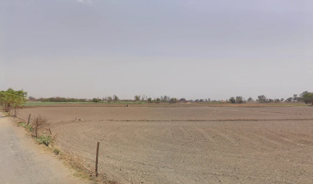 Bass, Haryana 125042, India