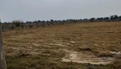 RH4R+WH2, Palri Parsa, Rajasthan, India preview 2