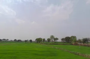 Parsada, Chhattisgarh 493445, India preview 2