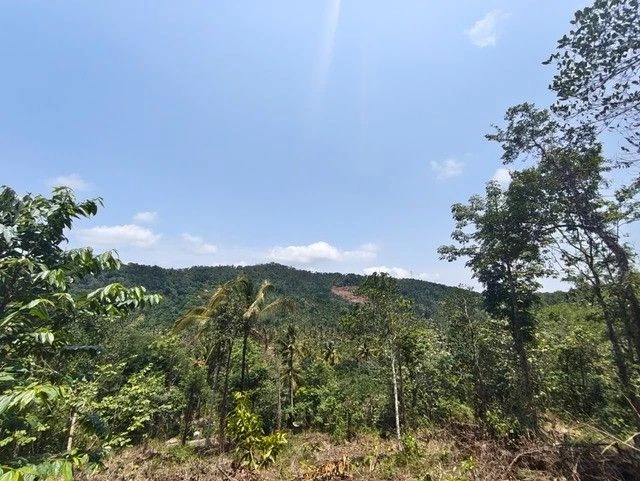 R6V2+8CF, Seethamount, Kerala 673579, India