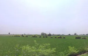 Ajrana Kalan, Haryana 136130, India preview 2