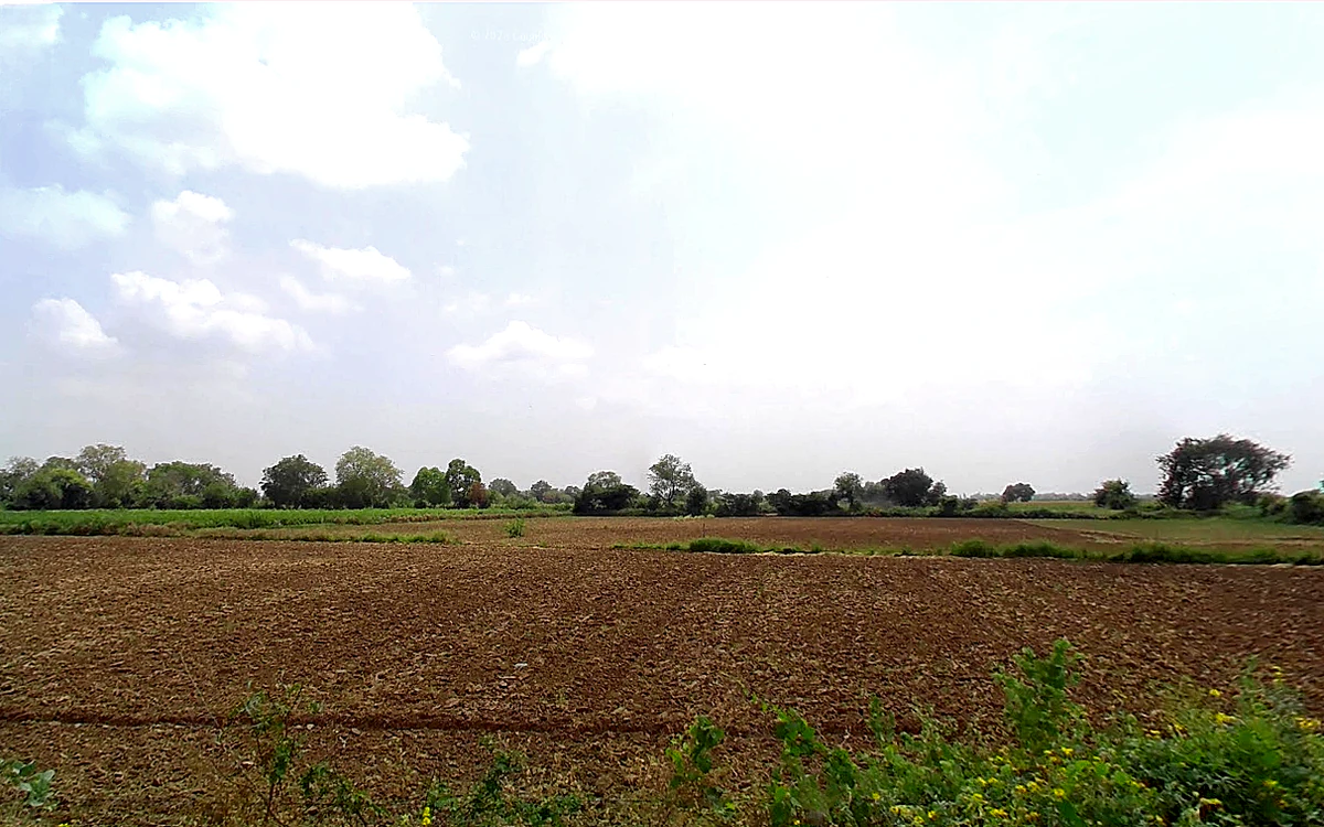 Charkhi Dadri, Haryana 127306, India