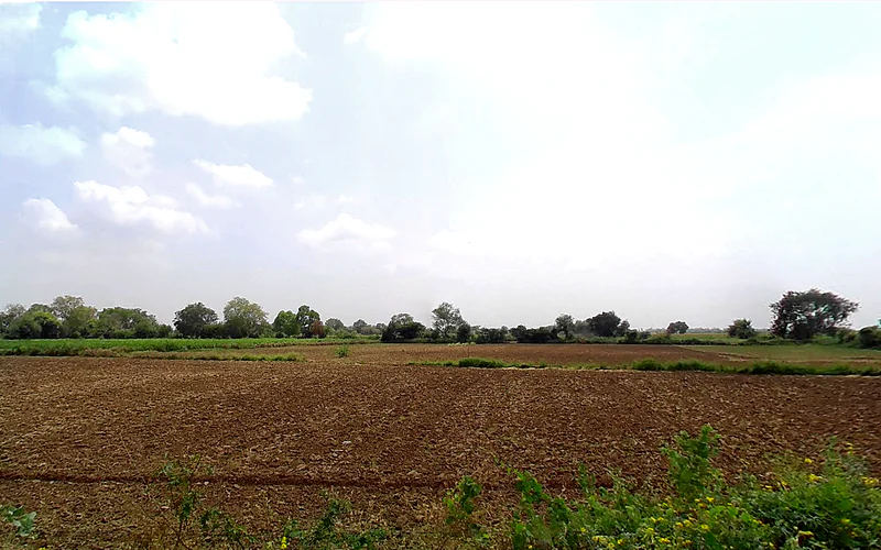 Charkhi Dadri, Haryana 127306, India preview 2