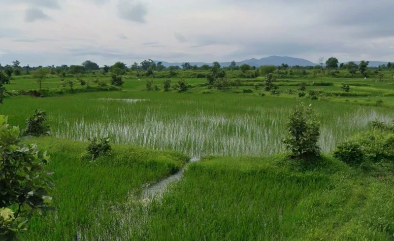 Jairamnagar, Chhattisgarh 495550, India preview 2