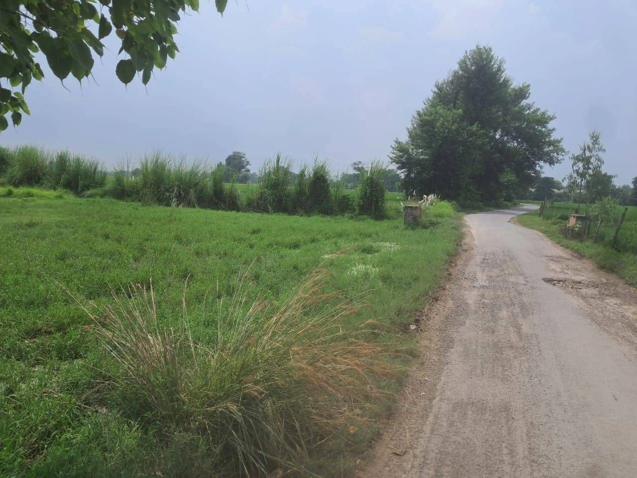 J8XQ+XW Maya Bhikhi, Ayodhya, Uttar Pradesh, India