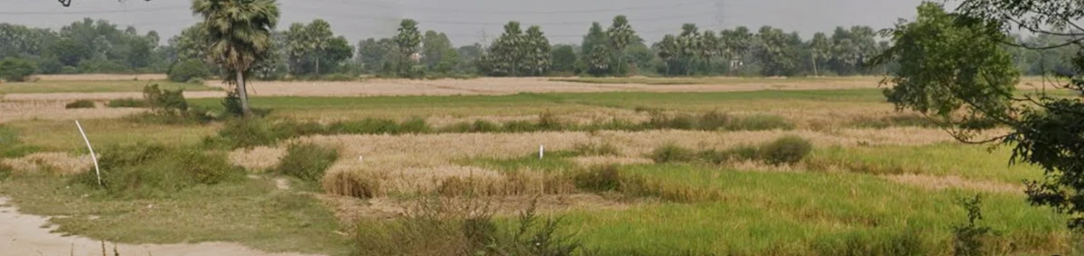 Ullar-Masaurhi Rd, Ichipur, Bihar, India