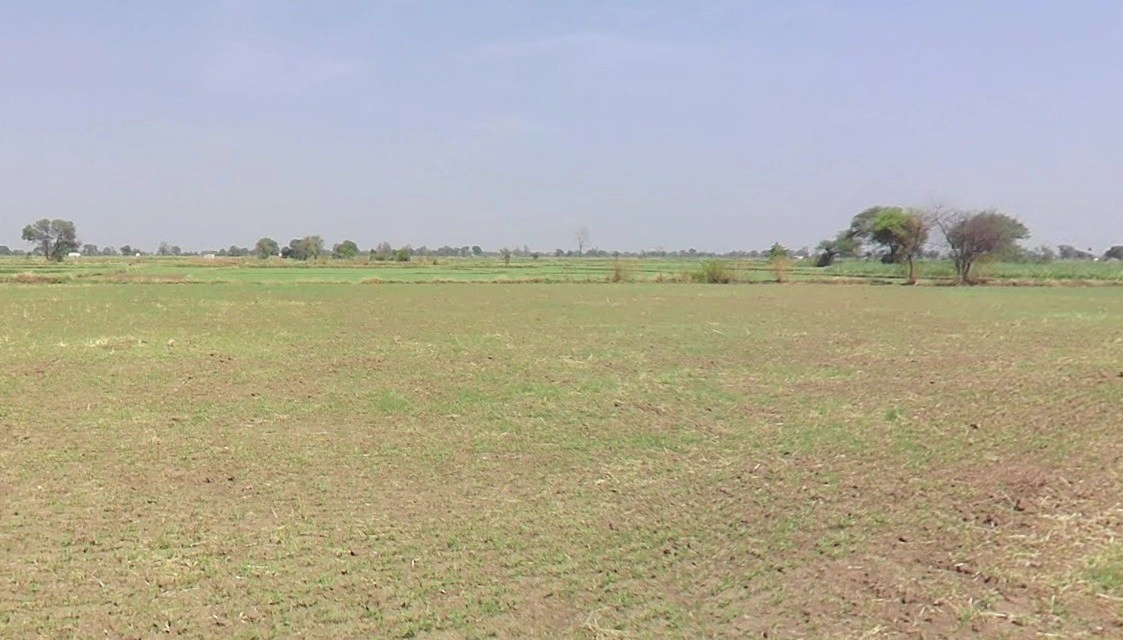 Hardob, Madhya Pradesh 464672, India