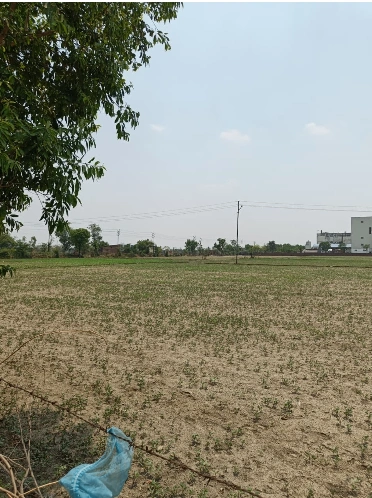 Bandri, Sagar, Madhya Pradesh 470442, India
