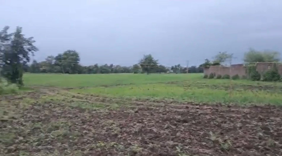 Kolar, Madhya Pradesh 484665, India