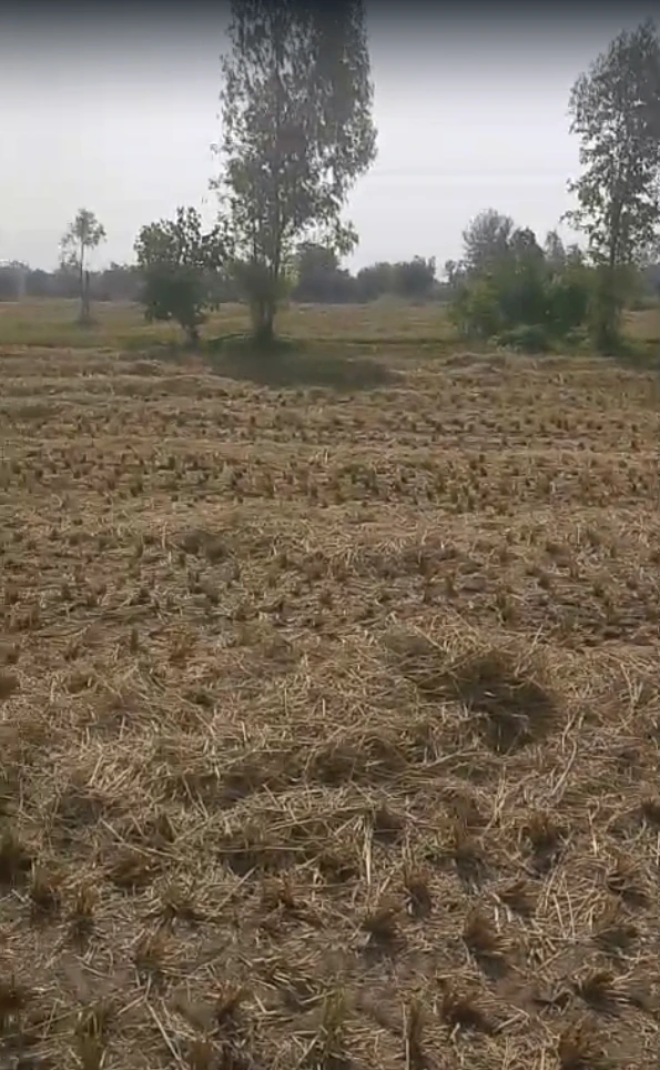 9HJ2+QPH, Alwar, Prithvipura, Rajasthan 301406, India - Photo 3