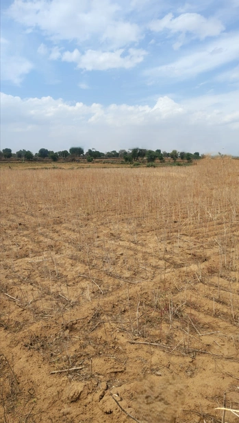Mandsaur, Madhya Pradesh, India