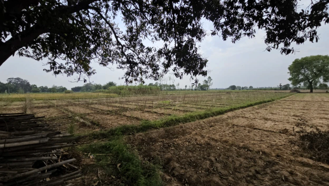 77PV+88 Kantoli, Rajasthan, India